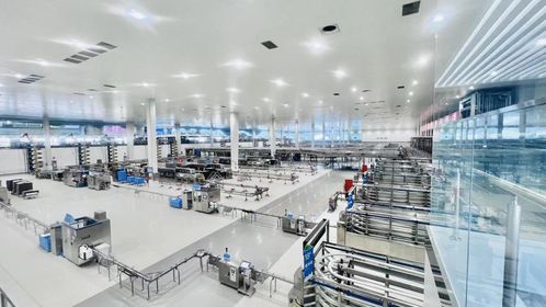 世界奶業大會開幕，伊利以全球協作助推‘世界乳業科技之都’建設